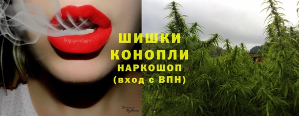 apvp Абаза