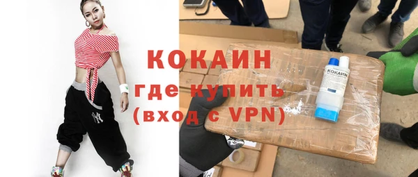 хмурый Алексин