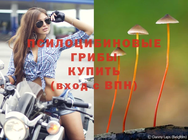 хмурый Алексин