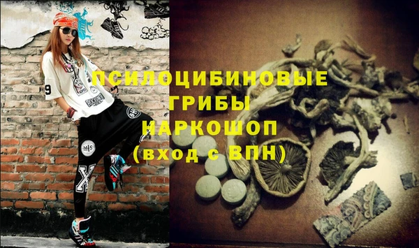 гидропоника Алексеевка