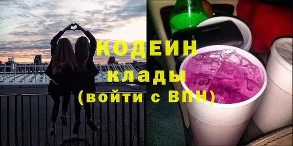 хмурый Алексин